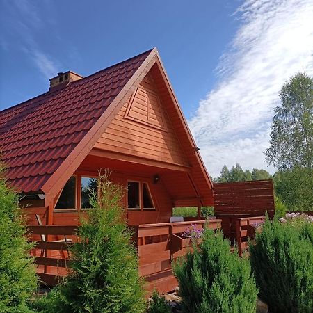 Dom Bartkow Kielce Villa Zagnansk Dış mekan fotoğraf